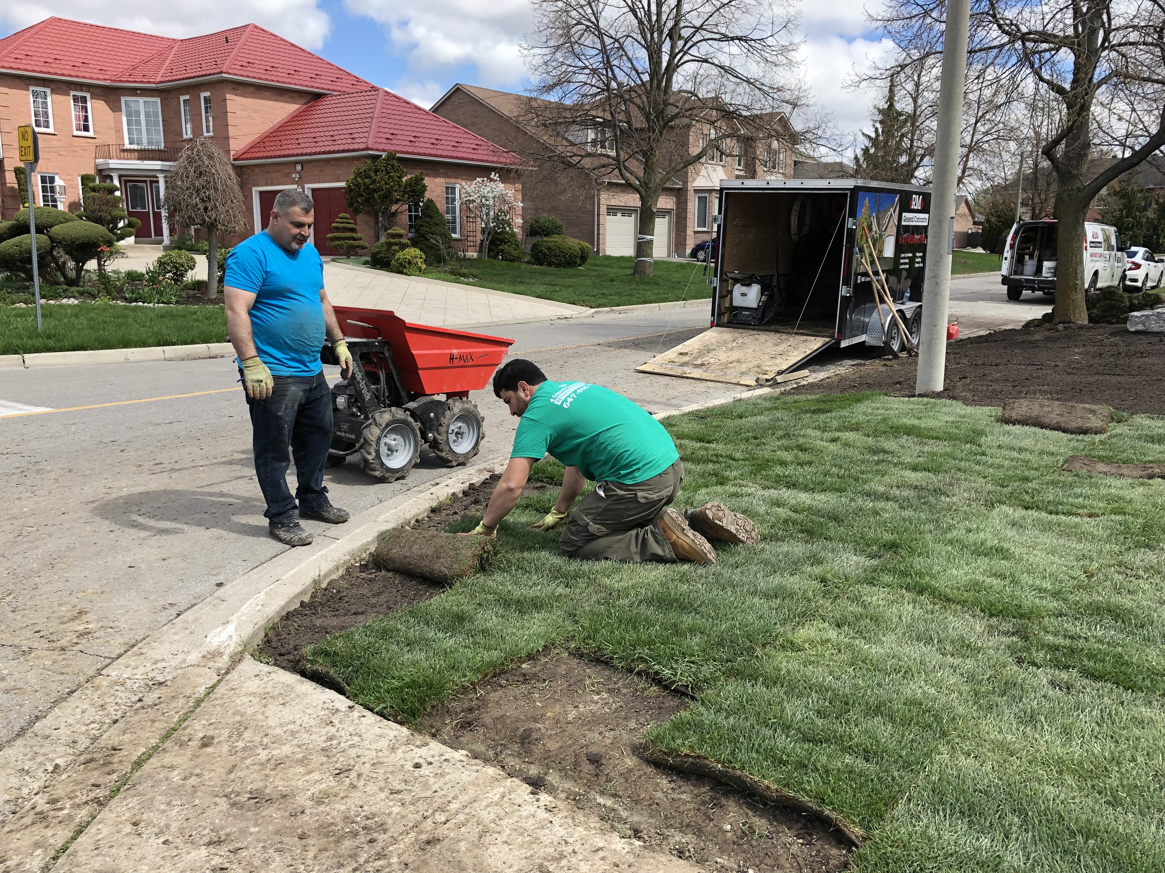 Grass Replacement Project