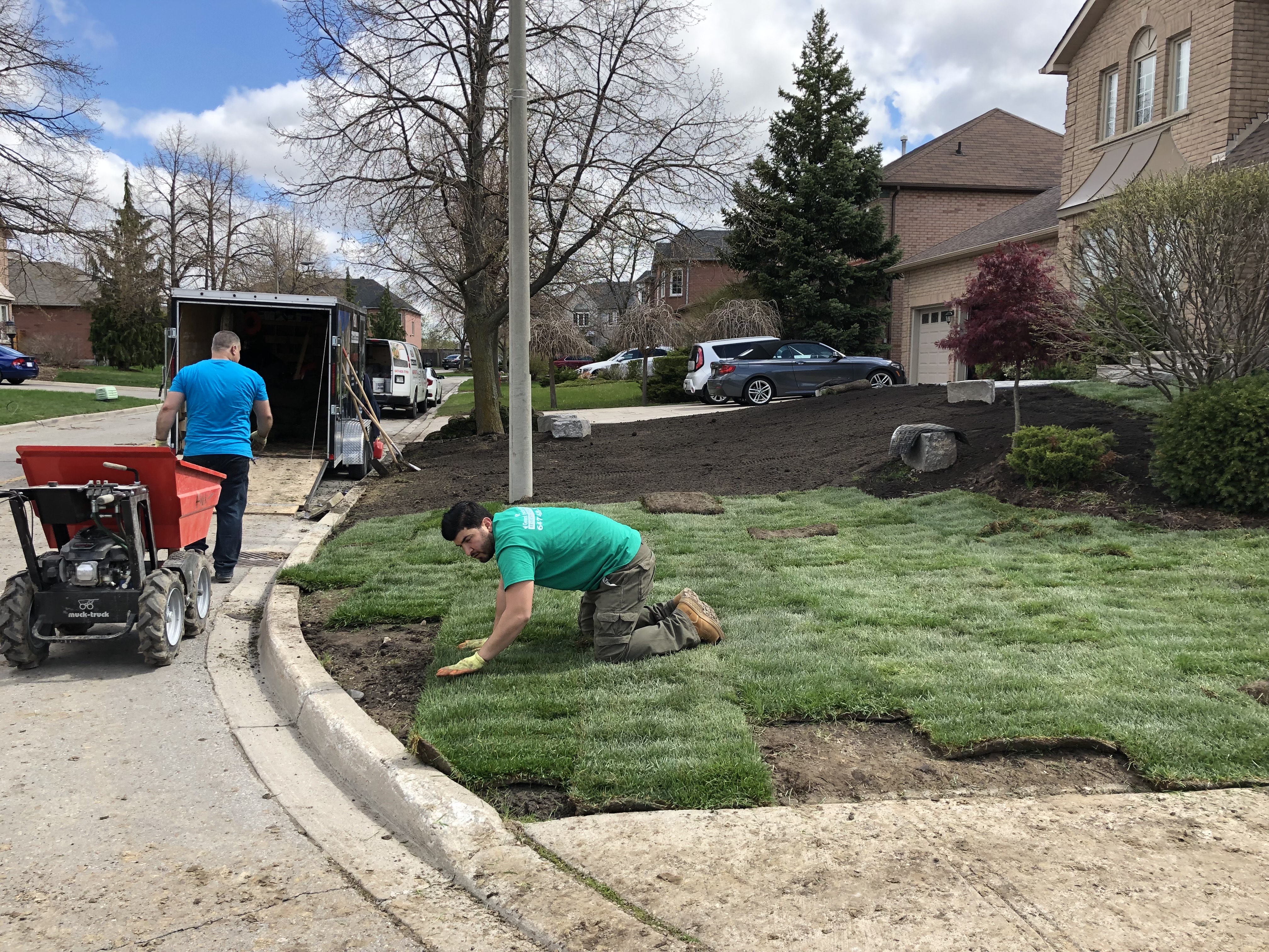 Grass Replacement Project