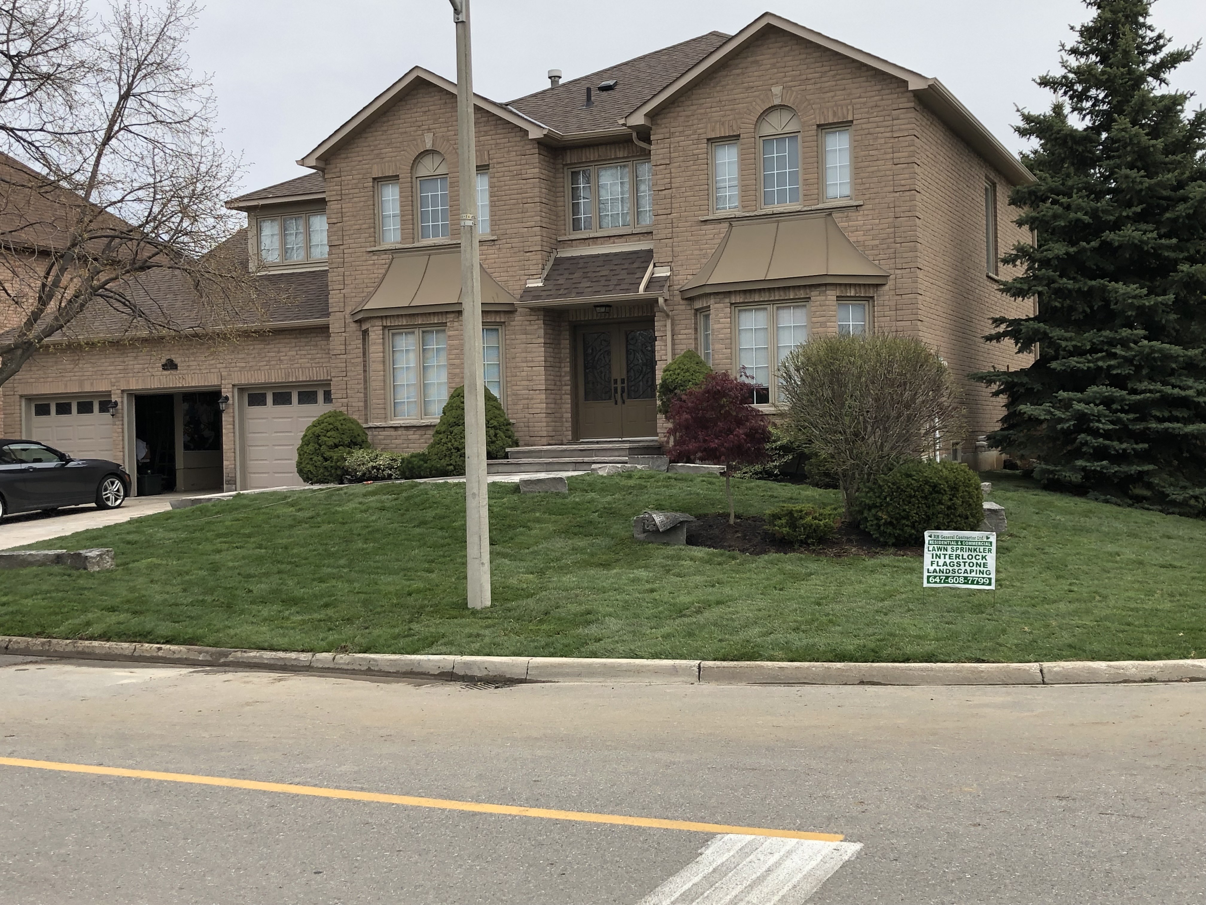 Grass Replacement Project