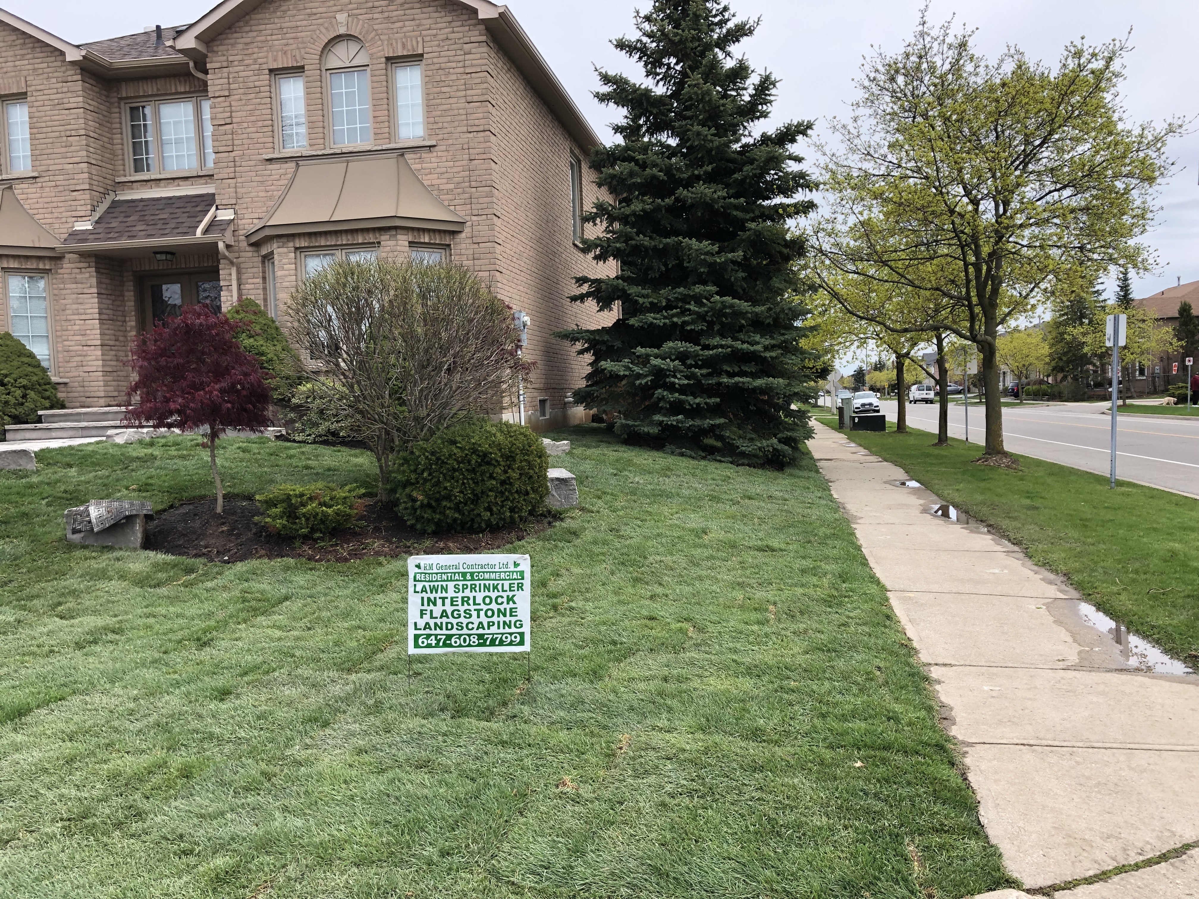 Grass Replacement Project