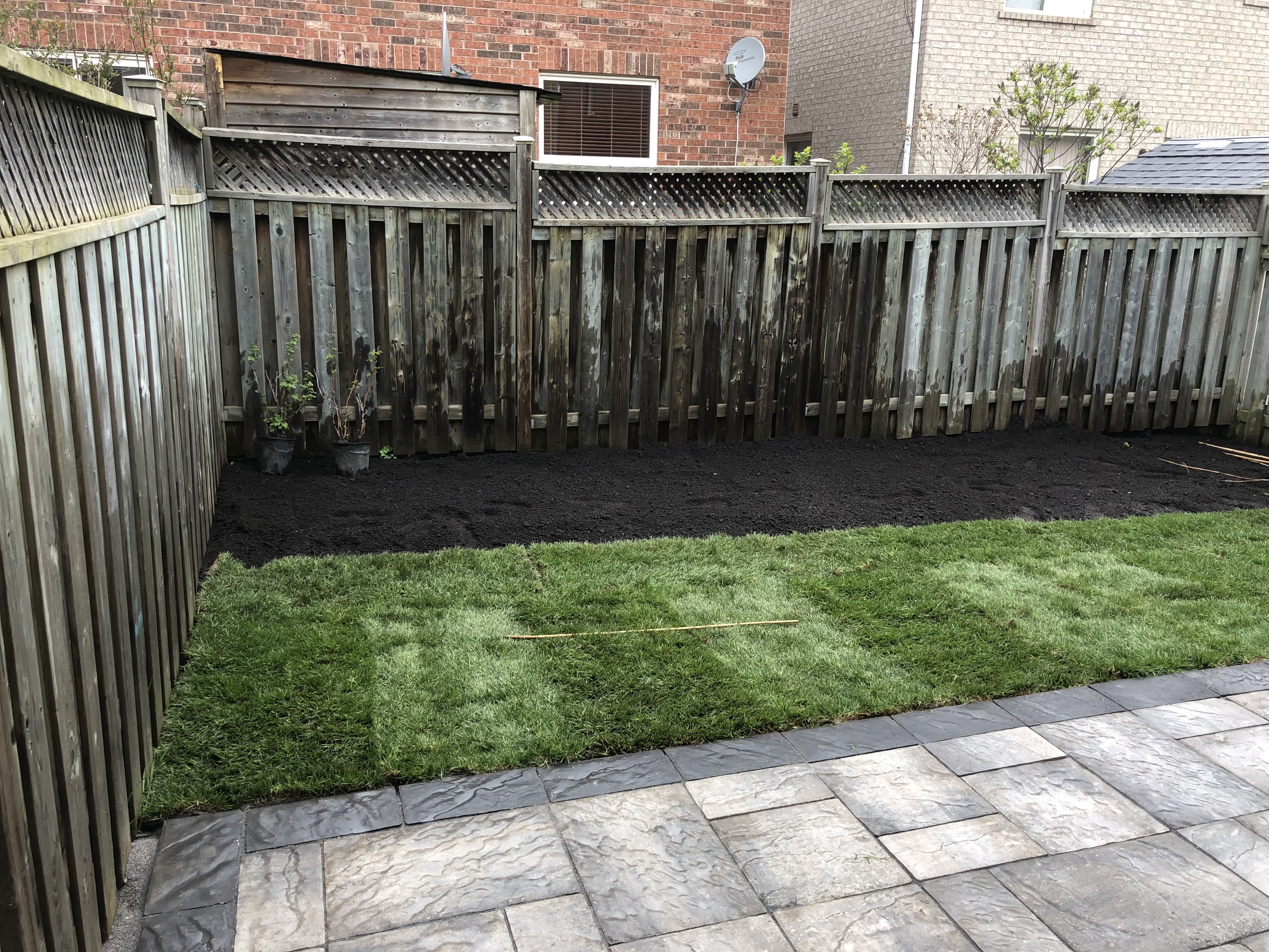 Grass Replacement Project