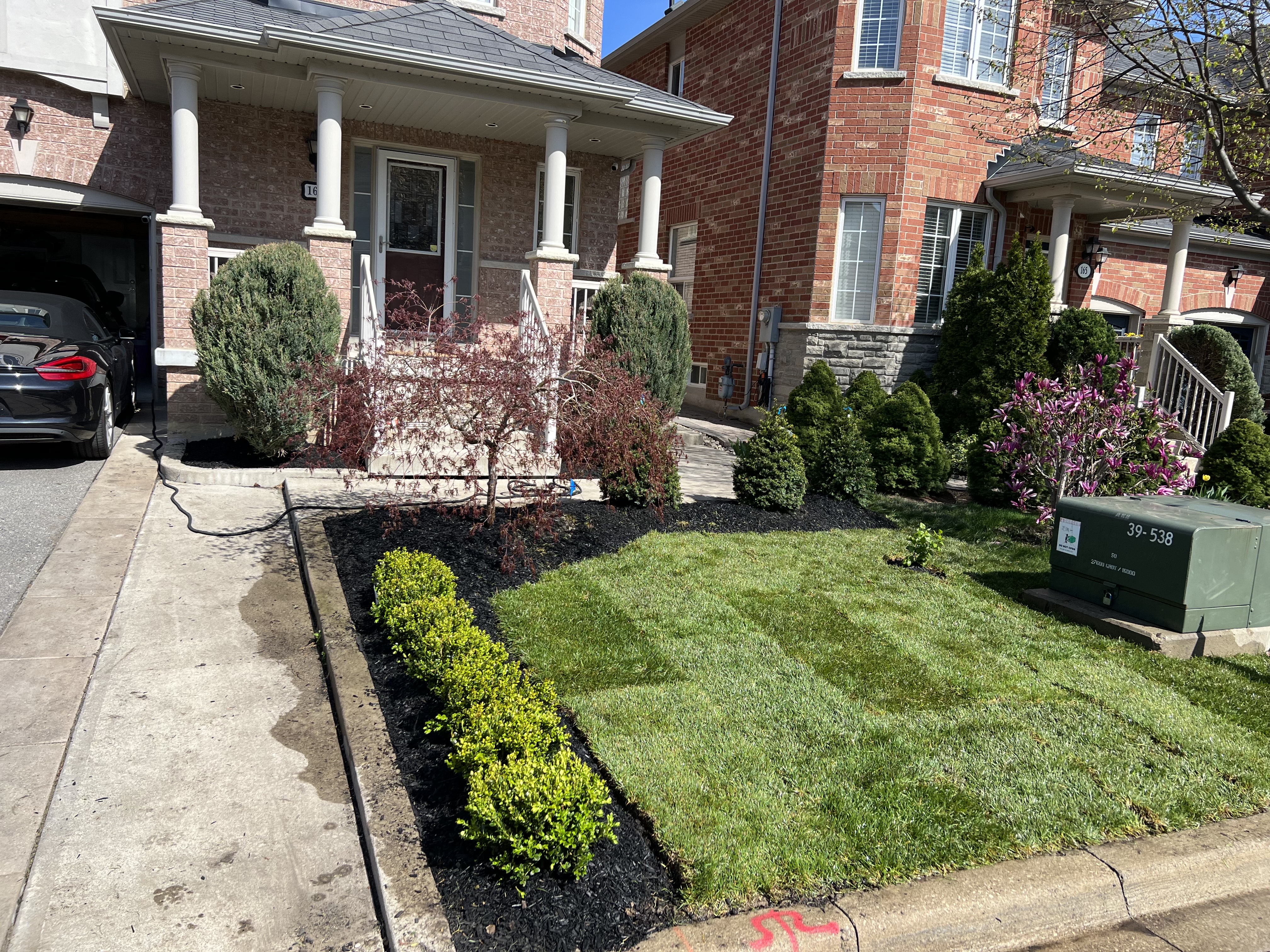 Grass Replacement Project