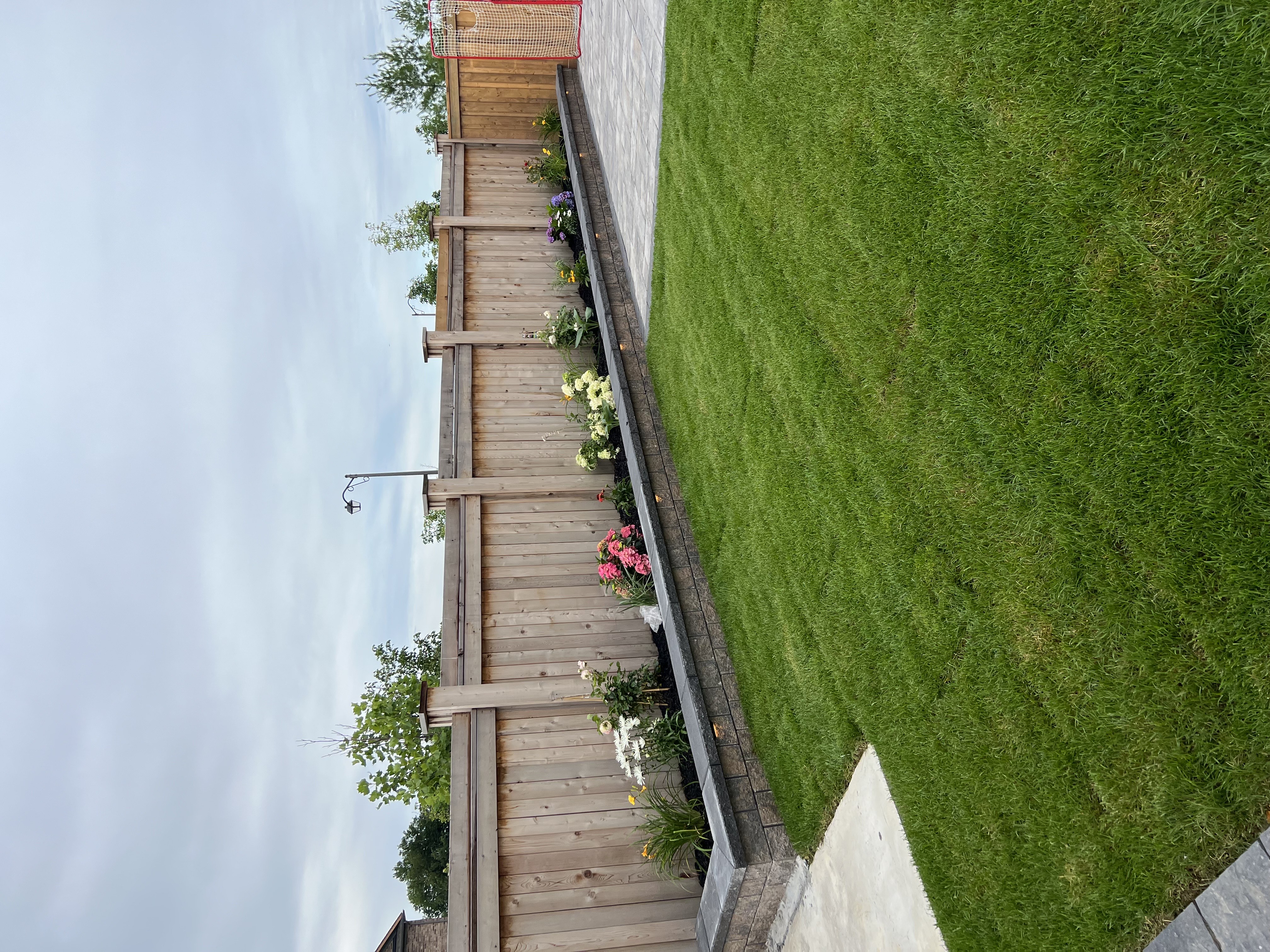 Grass Replacement Project