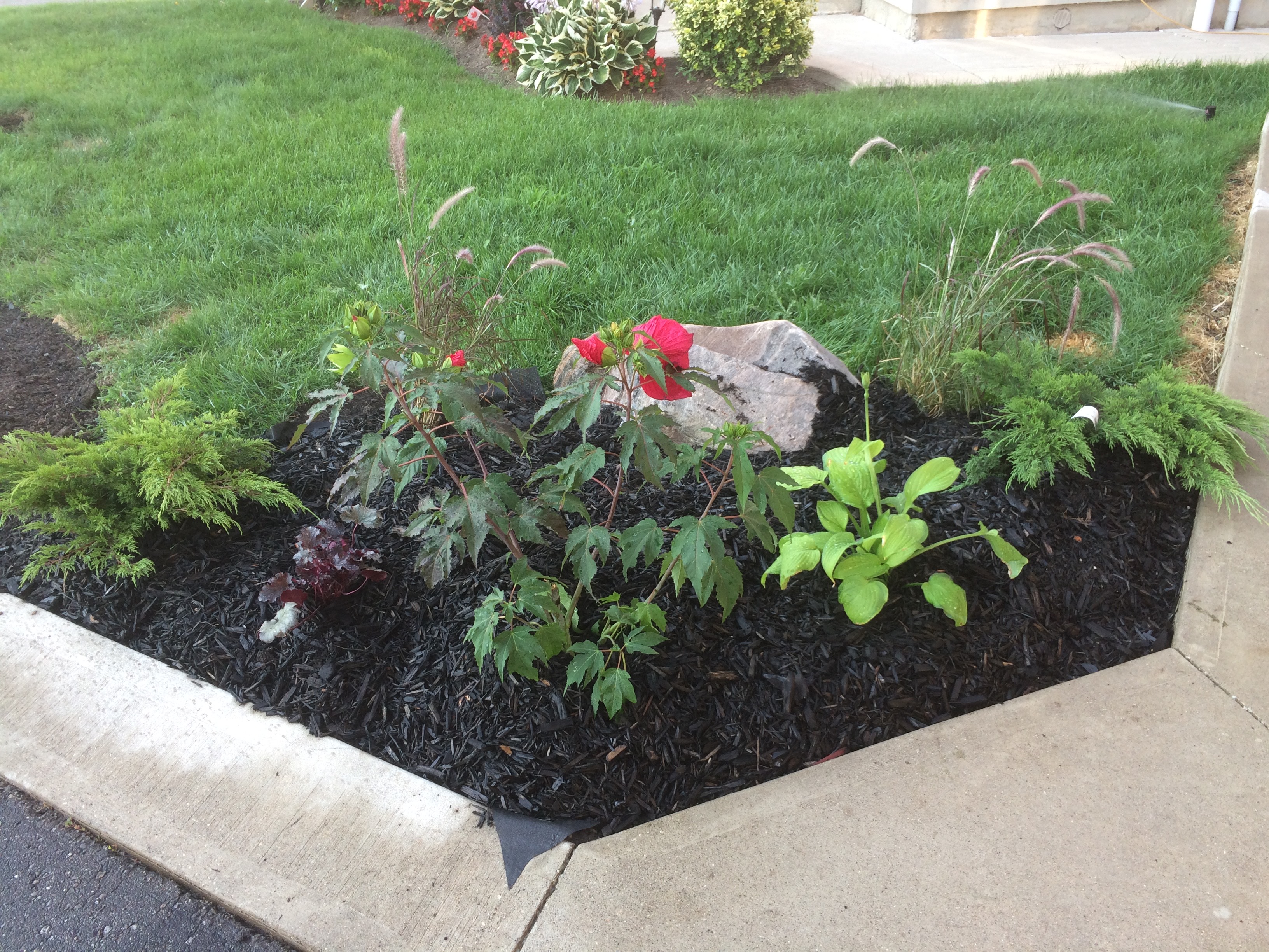 Flowerbed Project